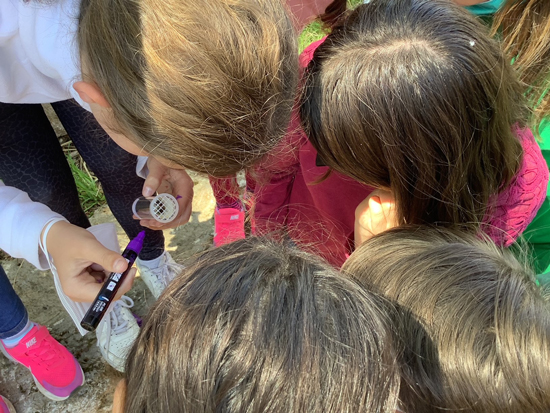 Theodor_Fliedner_Schule_a