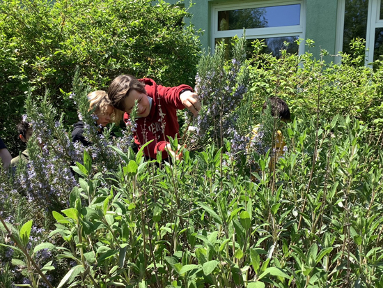 Theodor_Fliedner_Schule_d