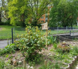 Nistplatz für oberirdisch nistende Wildbienen