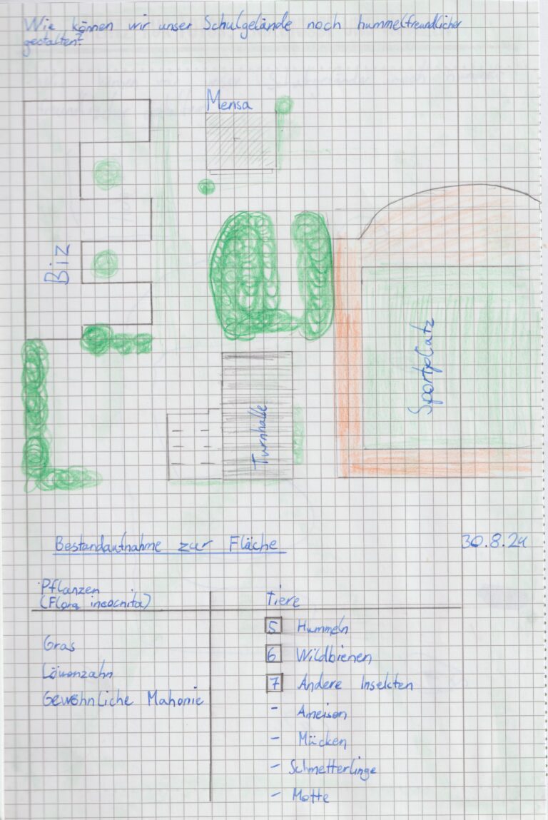 Bsp11_m_Monitoring