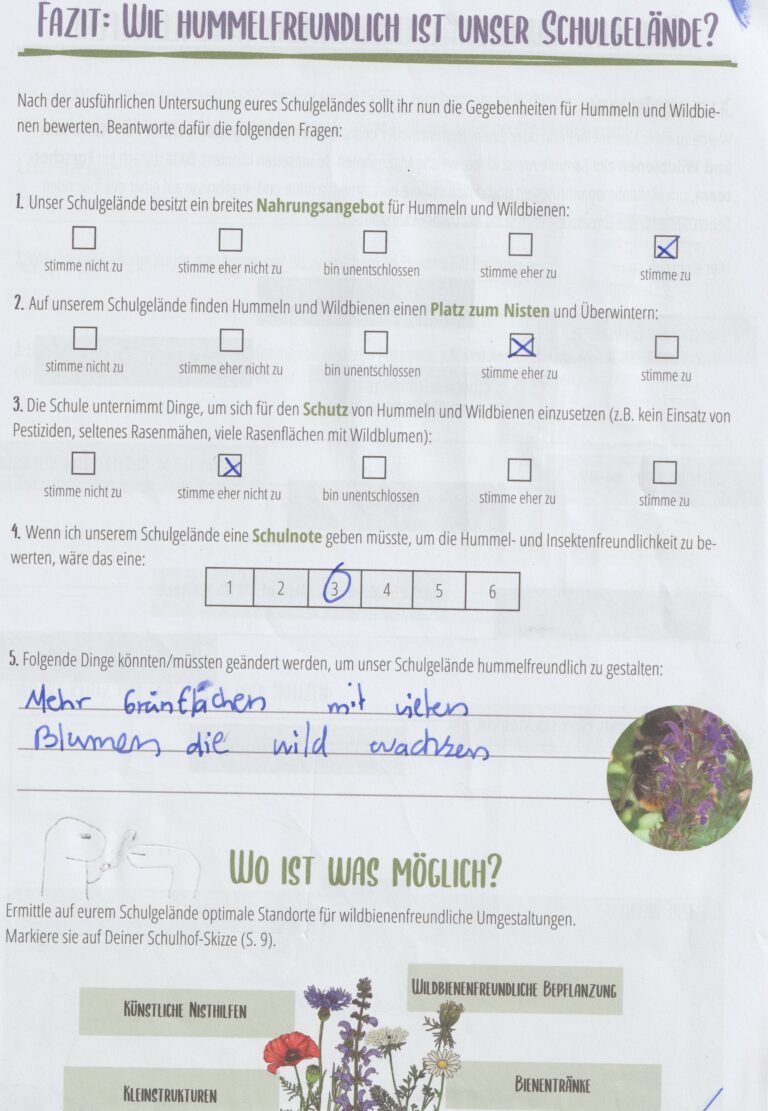 Bsp2_m_Wie hummelfreundlich ist unser Schulgelände