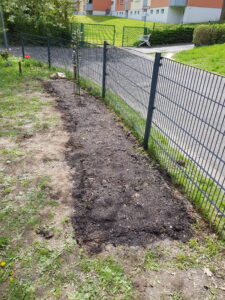 Aussaat eines wildbienenfreundlichen Blühstreifens