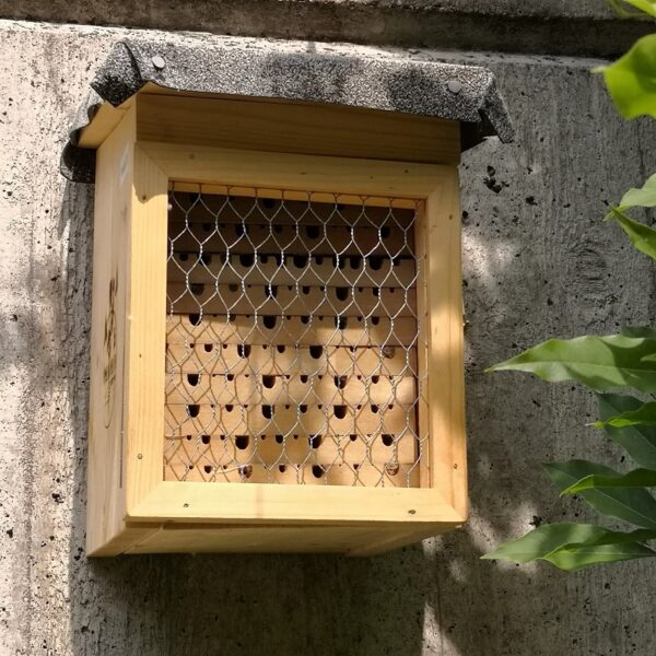 Ein Nistplatz für oberirdisch nistende Wildbienen....