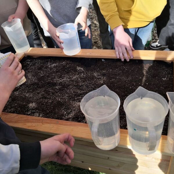 Hummel und -Insektenfreundliche Umgestaltung des Schulgeländes